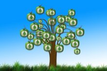 Luci e ombre di Lyoness: truffa o opportunità di guadagno?