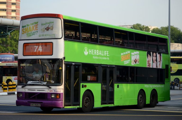 Herbalife International: È una truffa, o è davvero possibile guadagnare con questo network?